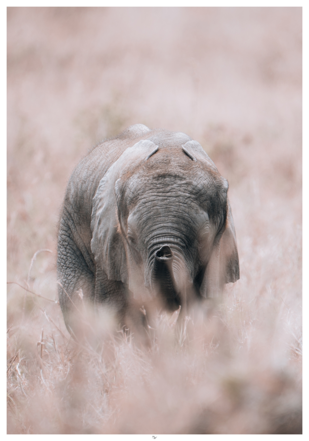 Plakat Premium "Quietude" - obrazek 7