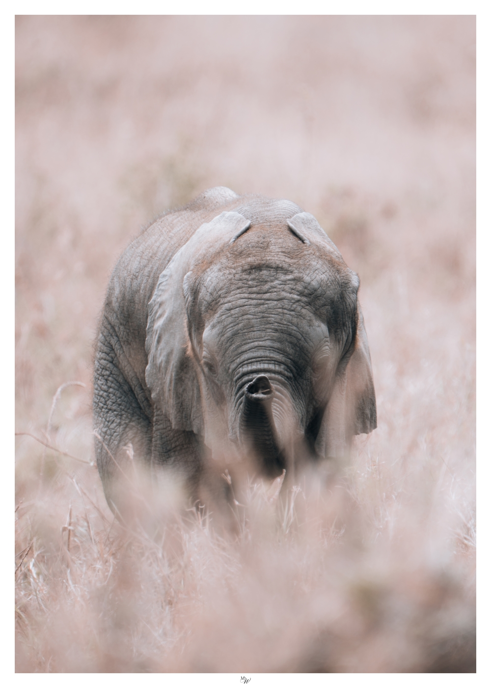 Plakat Premium "Quietude"