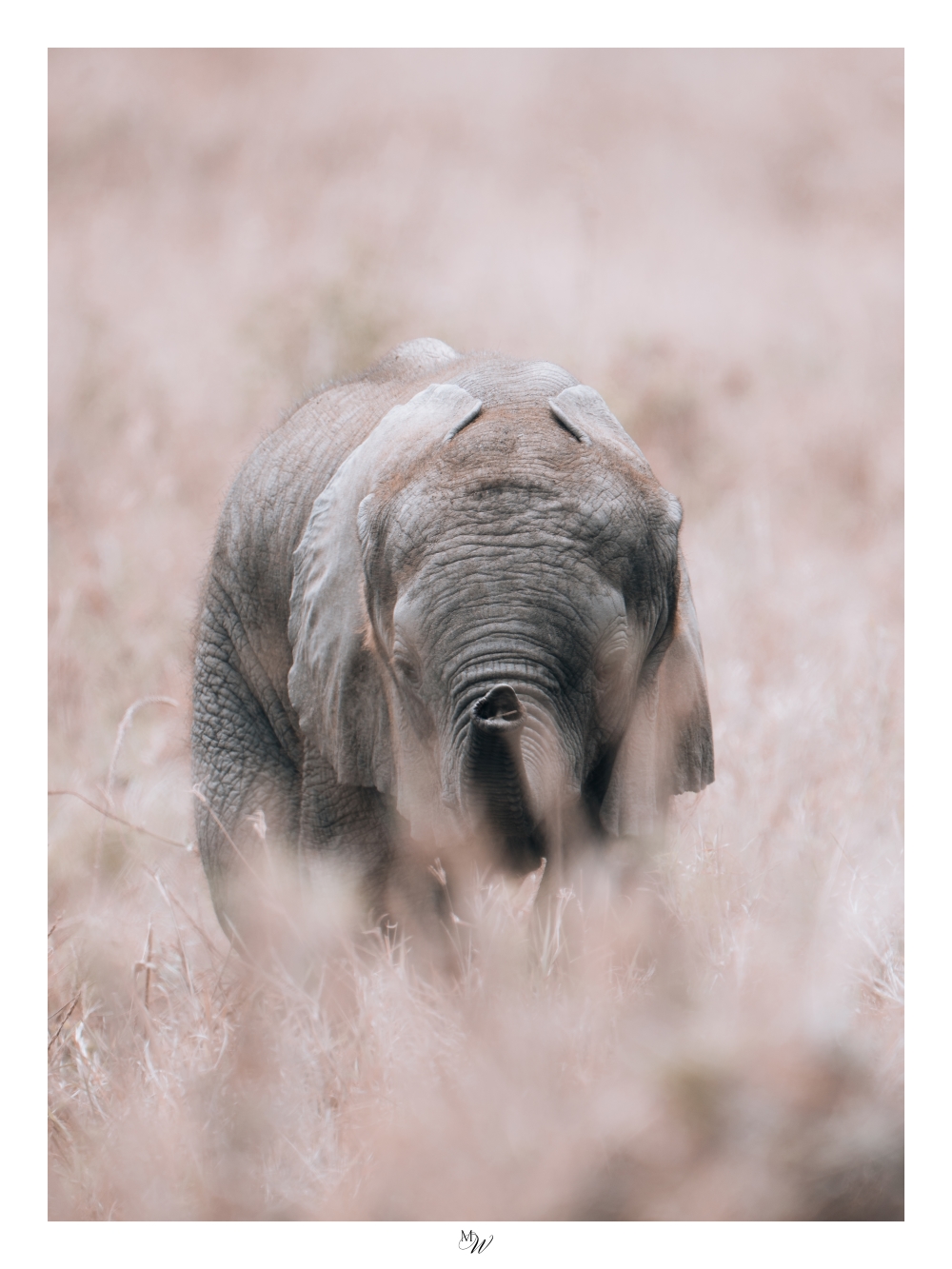 Plakat Premium "Quietude" - obrazek 5