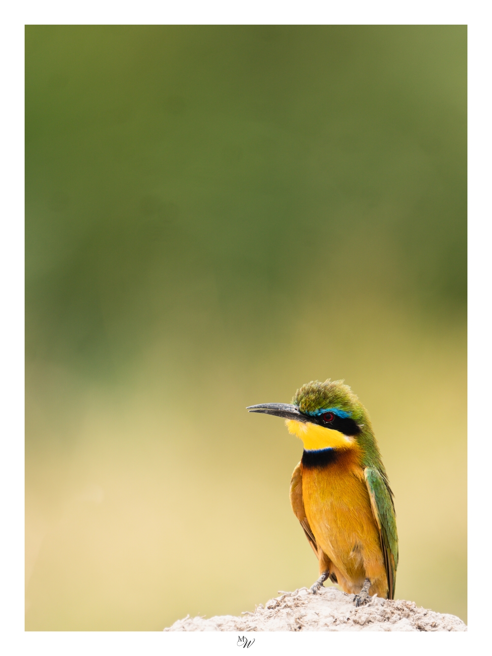 Plakat Premium "Serendipity" - obrazek 2
